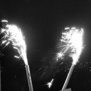 RT 🏙️🏟🏔🌴☀️🌉🏭🪩👑🌐